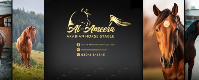 Al Ameera Stable